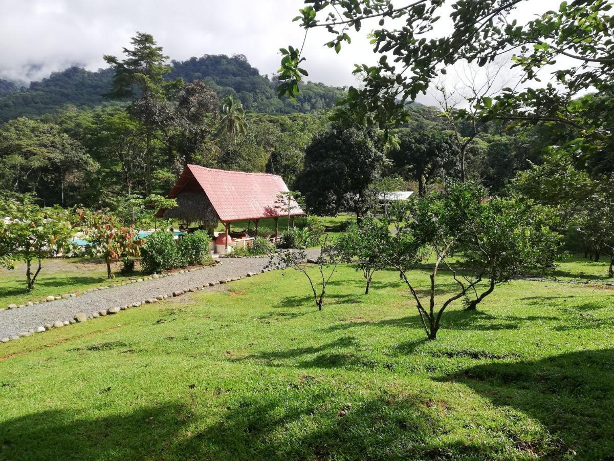 Hacienda Mil Bellezas - Private 40Ha Jungle Reserve Quepos Kültér fotó