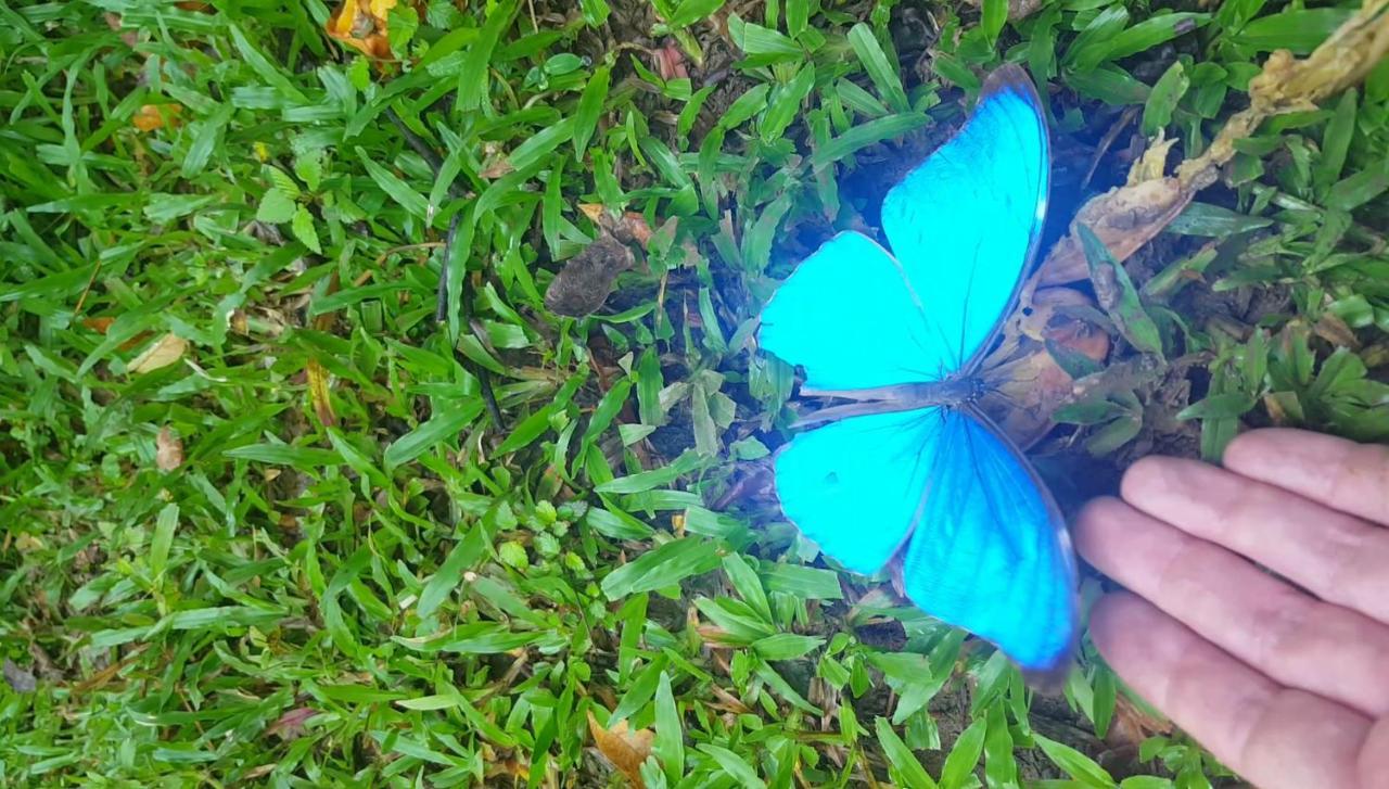 Hacienda Mil Bellezas - Private 40Ha Jungle Reserve Quepos Kültér fotó