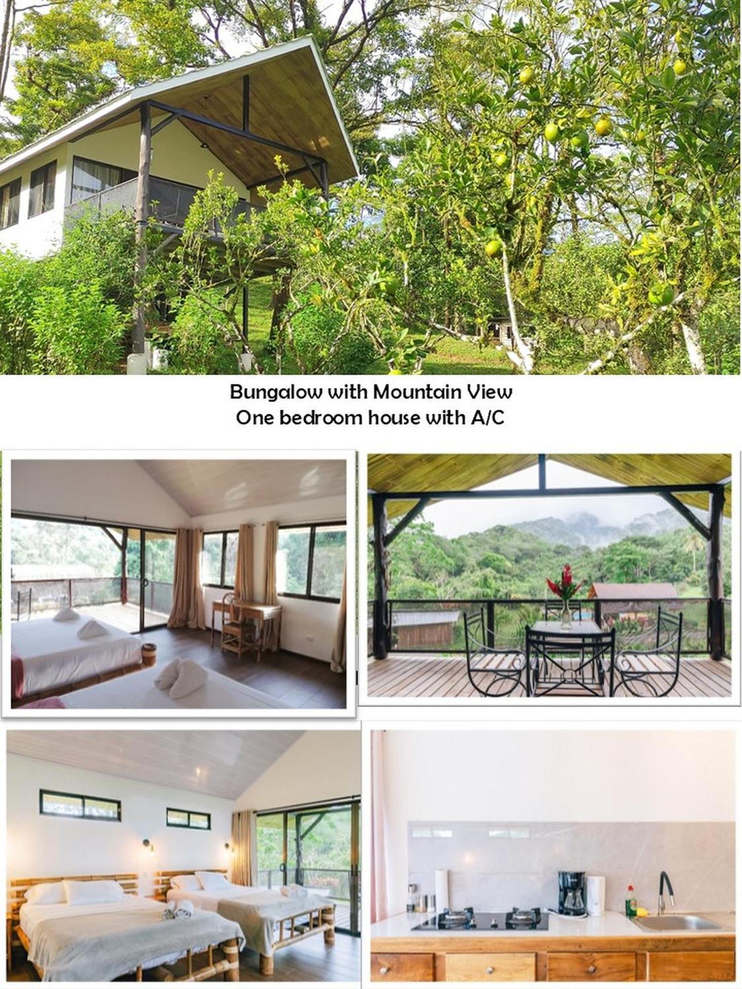Hacienda Mil Bellezas - Private 40Ha Jungle Reserve Quepos Kültér fotó