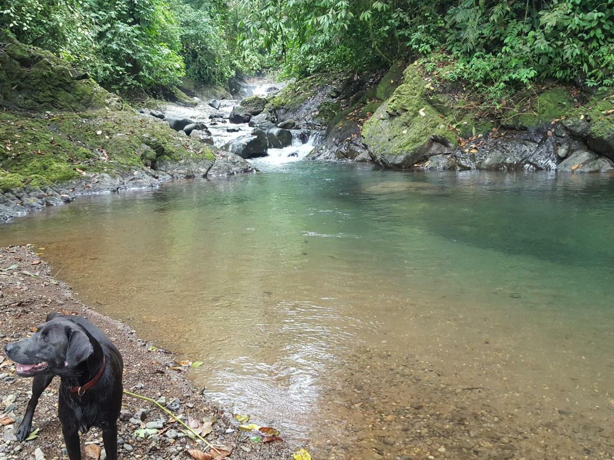 Hacienda Mil Bellezas - Private 40Ha Jungle Reserve Quepos Kültér fotó