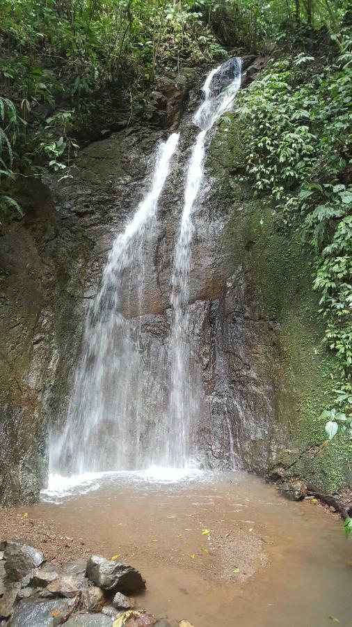 Hacienda Mil Bellezas - Private 40Ha Jungle Reserve Quepos Kültér fotó