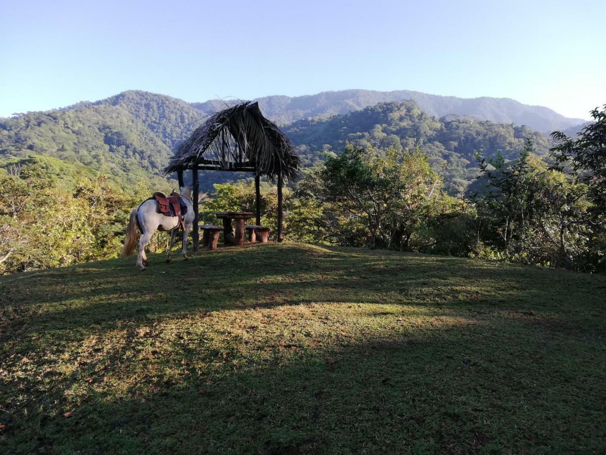 Hacienda Mil Bellezas - Private 40Ha Jungle Reserve Quepos Kültér fotó
