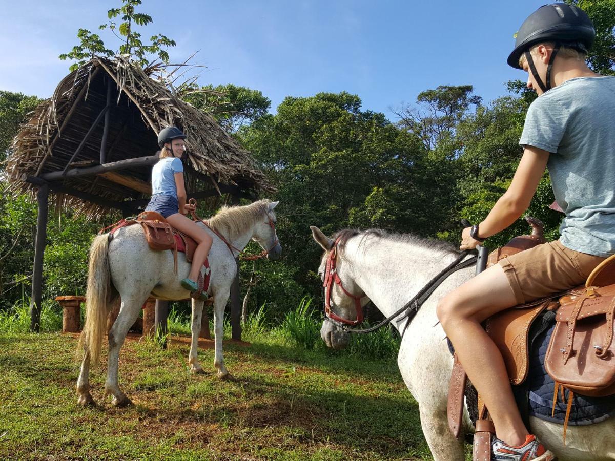 Hacienda Mil Bellezas - Private 40Ha Jungle Reserve Quepos Kültér fotó